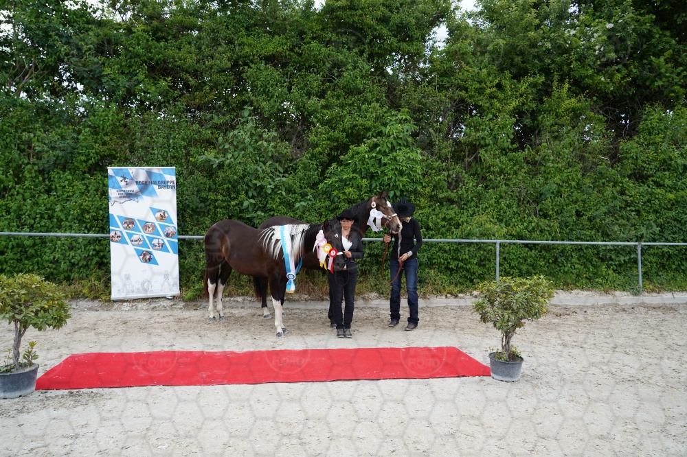 s_A7_08631.jpg